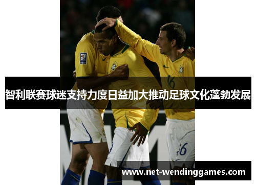智利联赛球迷支持力度日益加大推动足球文化蓬勃发展