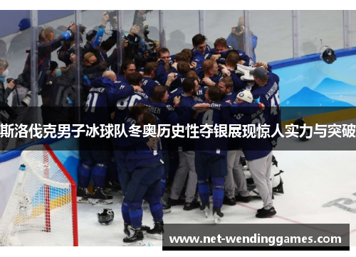 斯洛伐克男子冰球队冬奥历史性夺银展现惊人实力与突破