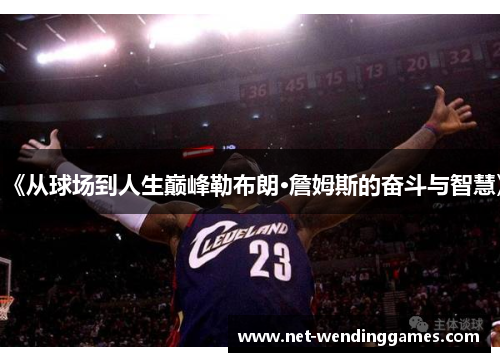 《从球场到人生巅峰勒布朗·詹姆斯的奋斗与智慧》 《从球场到人生巅峰勒布朗·詹姆斯的奋斗与智慧》