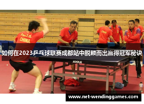 如何在2023乒乓球联赛成都站中脱颖而出赢得冠军秘诀