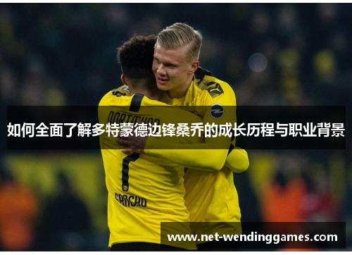 如何全面了解多特蒙德边锋桑乔的成长历程与职业背景 如何全面了解多特蒙德边锋桑乔的成长历程与职业背景