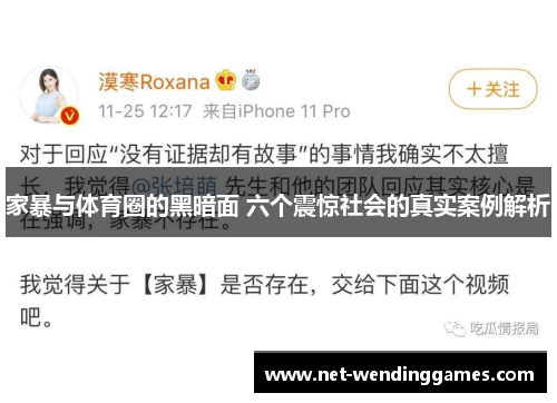 家暴与体育圈的黑暗面 六个震惊社会的真实案例解析 家暴与体育圈的黑暗面 六个震惊社会的真实案例解析