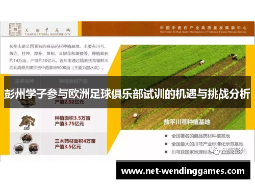 彭州学子参与欧洲足球俱乐部试训的机遇与挑战分析 彭州学子参与欧洲足球俱乐部试训的机遇与挑战分析