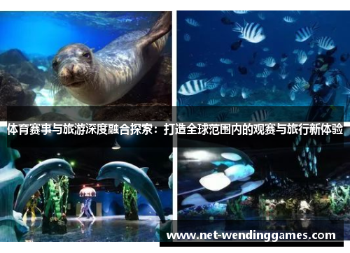 体育赛事与旅游深度融合探索：打造全球范围内的观赛与旅行新体验