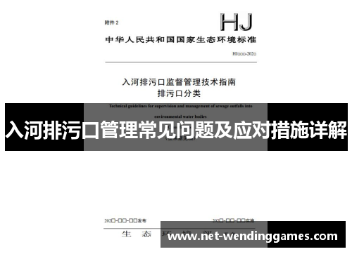 入河排污口管理常见问题及应对措施详解