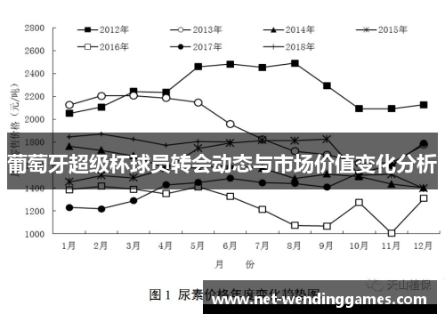 葡萄牙超级杯球员转会动态与市场价值变化分析
