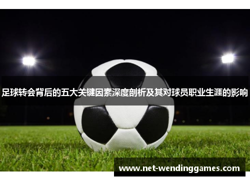 足球转会背后的五大关键因素深度剖析及其对球员职业生涯的影响