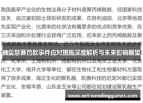 魏震禁赛罚款事件应对措施深度解析与未来影响展望
