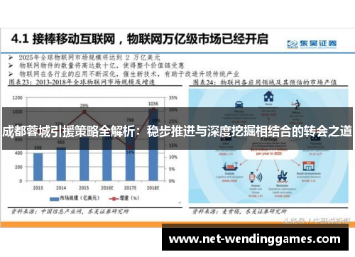 成都蓉城引援策略全解析:稳步推进与深度挖掘相结合的转会之道 成都蓉城引援策略全解析:稳步推进与深度挖掘相结合的转会之道